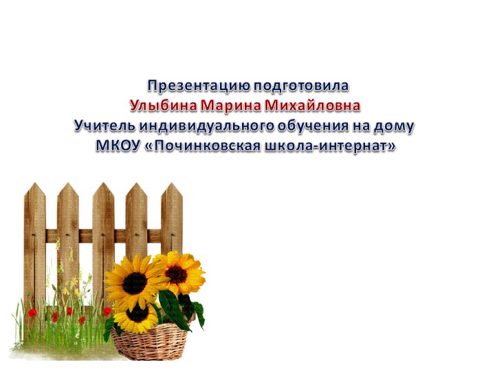 Презентация по окружающему миру