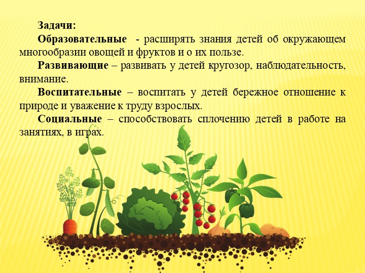 Презентация на тему "Дары природы " - ознакомление с окружающим (средняя группа)