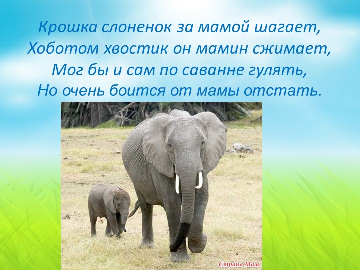 Презентация для детей младшей группы