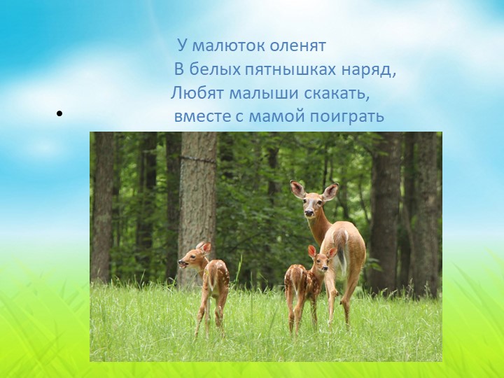 Презентация для детей младшей группы