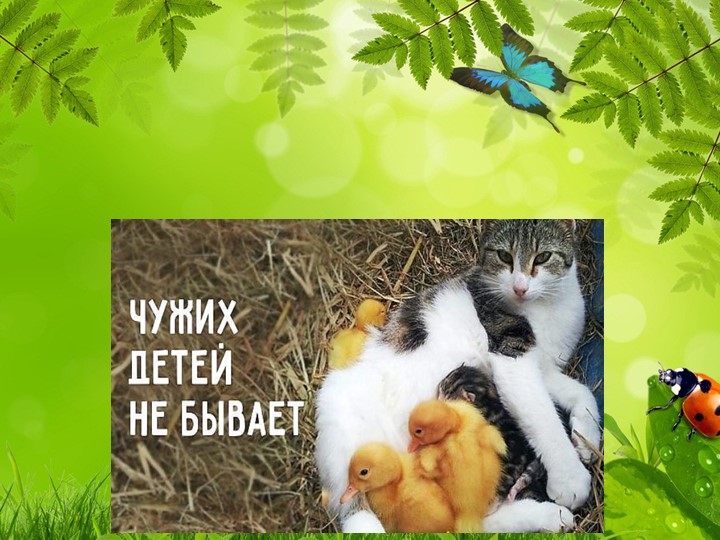 Презентация для детей младшей группы