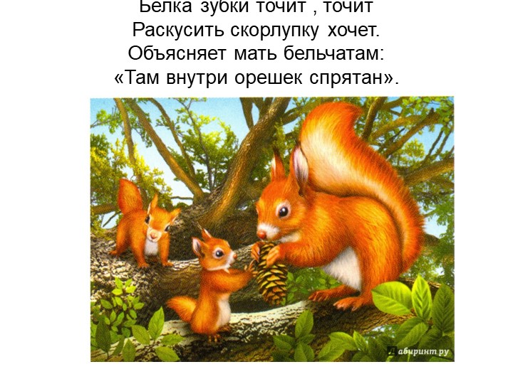 Презентация для детей младшей группы
