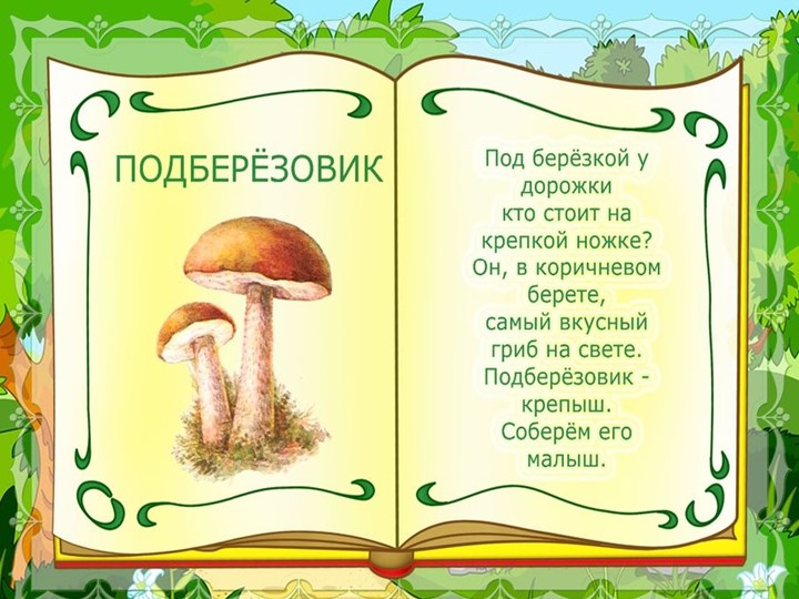 Презентация на тему : Грибы.