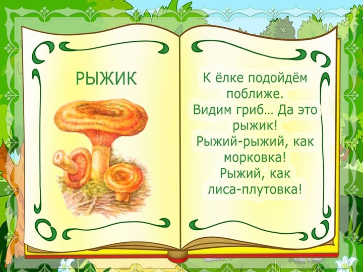 Презентация на тему : Грибы.