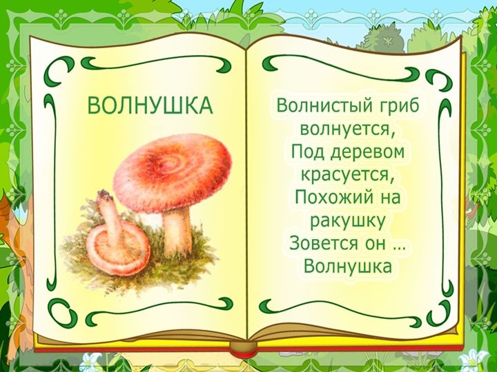 Презентация на тему : Грибы.