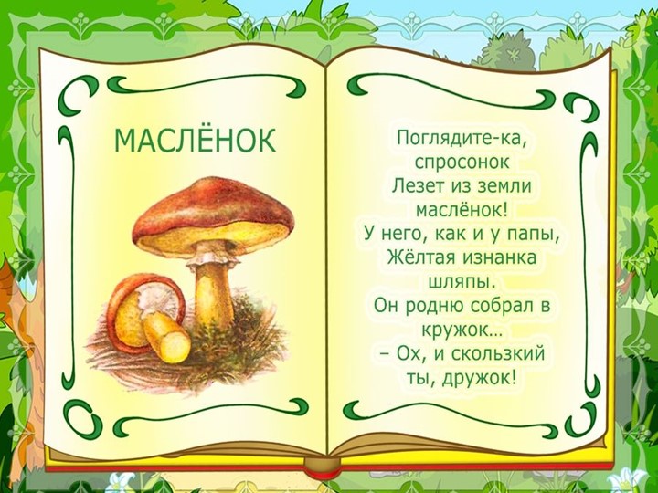 Презентация на тему : Грибы.