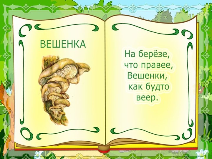 Презентация на тему : Грибы.
