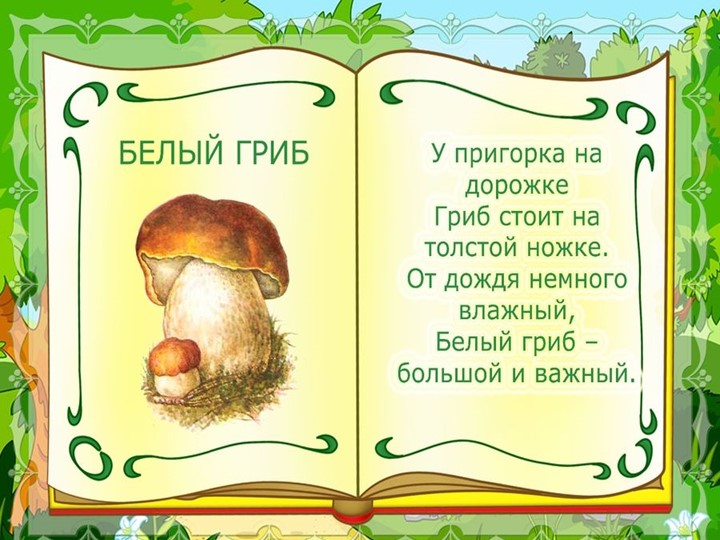 Презентация на тему : Грибы.