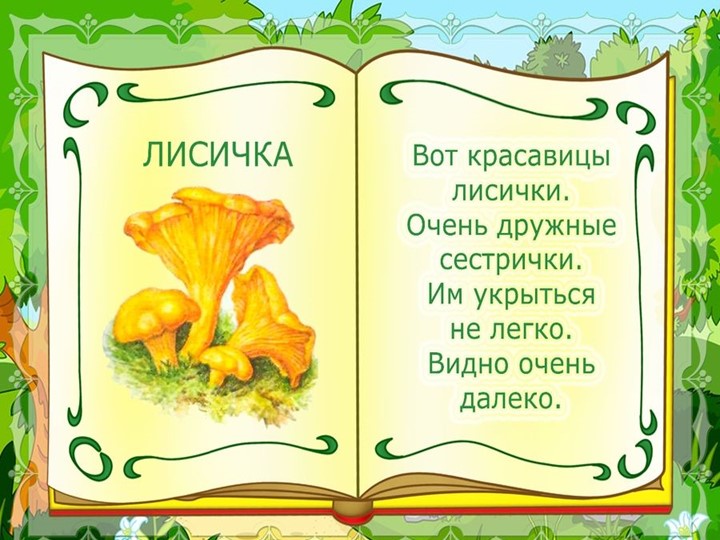Презентация на тему : Грибы.