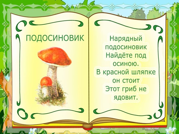 Презентация на тему : Грибы.