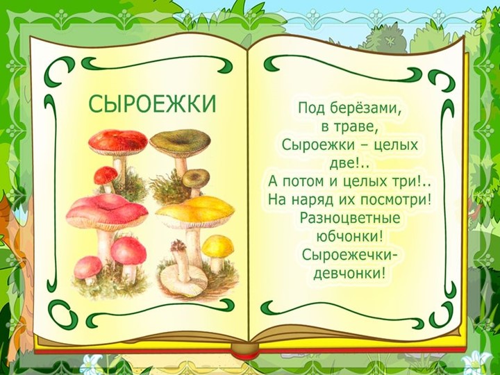 Презентация на тему : Грибы.