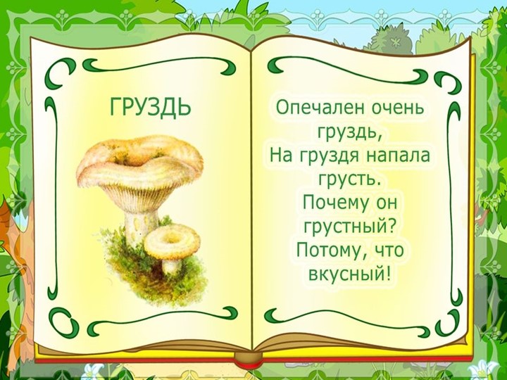 Презентация на тему : Грибы.