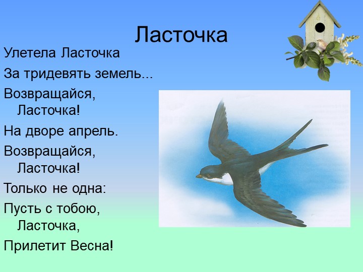 Презентация на тему : Перелётные птицы
