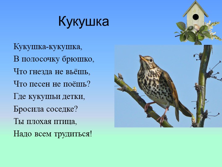 Презентация на тему : Перелётные птицы