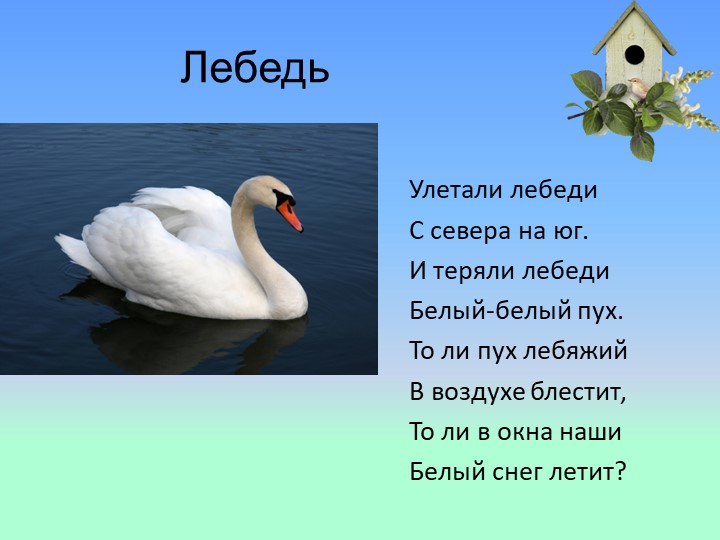 Презентация на тему : Перелётные птицы