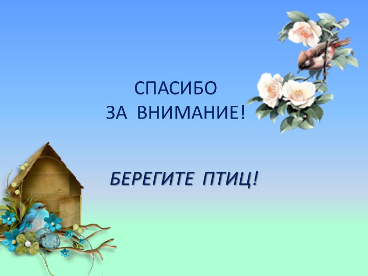 Презентация на тему : Перелётные птицы