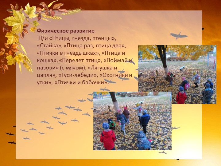 Краткосрочный проект "Перелетные птицы осенью" старшая группа