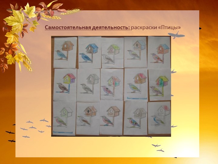 Краткосрочный проект "Перелетные птицы осенью" старшая группа