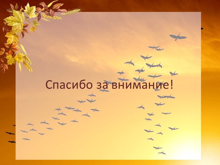 Краткосрочный проект "Перелетные птицы осенью" старшая группа