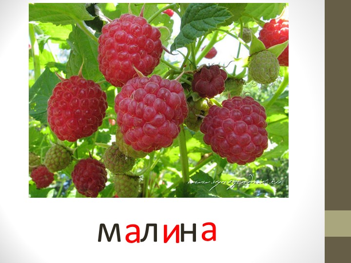 Презентация по речевому развитию (обучение грамоте) - "Гласные звуки"