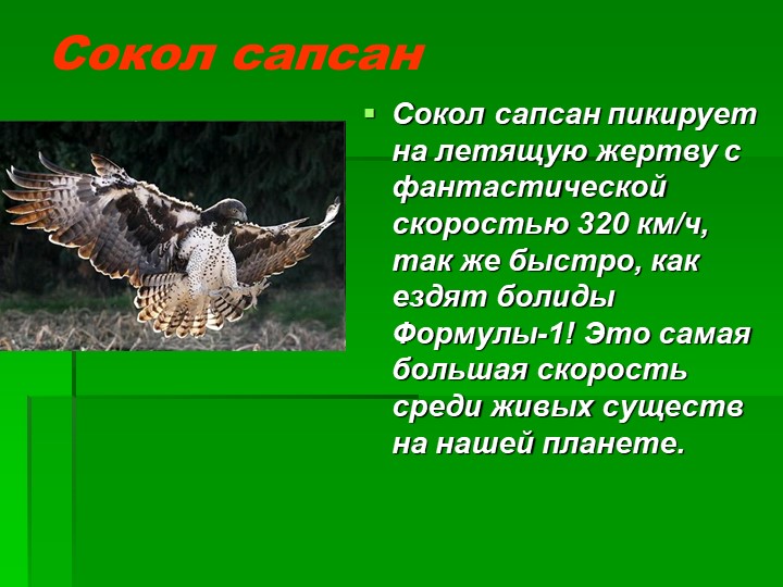 Презентация на тему : Интересные факты о животных.