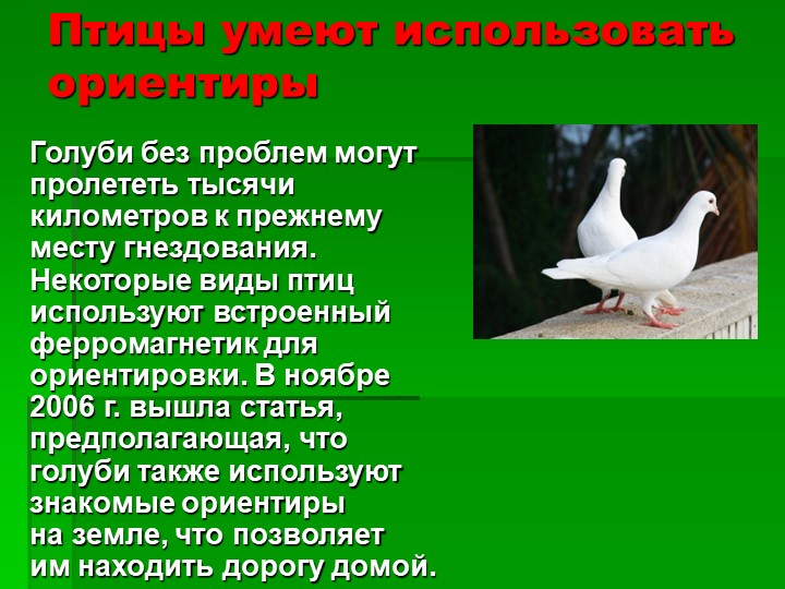 Презентация на тему : Интересные факты о животных.