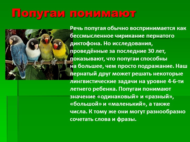 Презентация на тему : Интересные факты о животных.