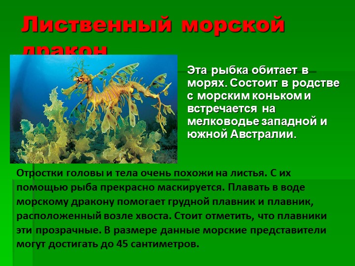 Презентация на тему : Интересные факты о животных.