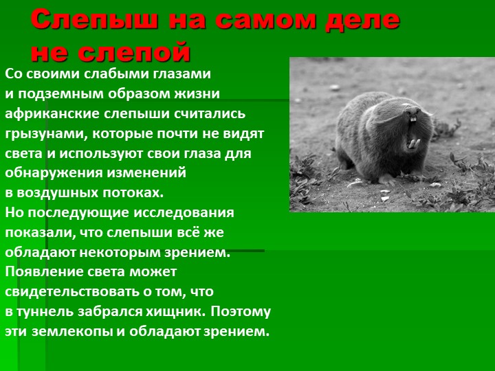Презентация на тему : Интересные факты о животных.
