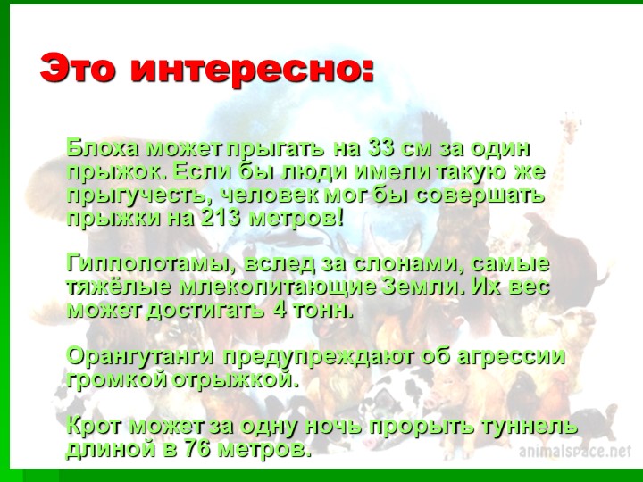 Презентация на тему : Интересные факты о животных.