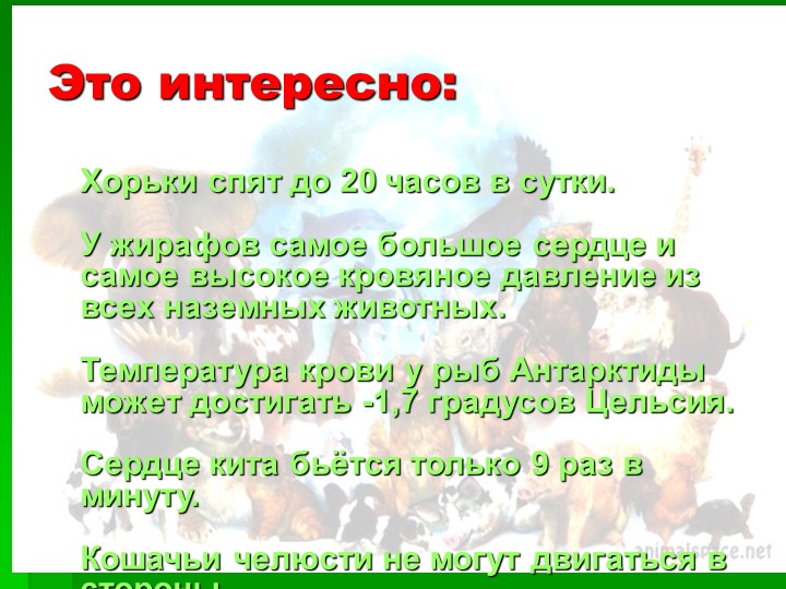 Презентация на тему : Интересные факты о животных.
