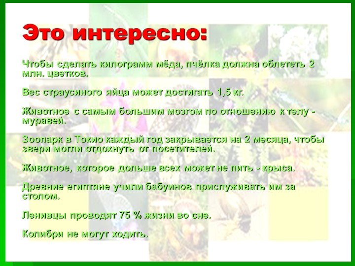 Презентация на тему : Интересные факты о животных.