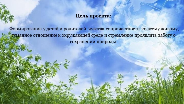 Экологический проект "Защитим планету"