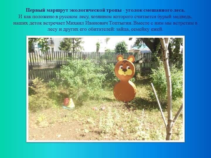 Презентация по экологическому воспитанию "Экологическая тропа"