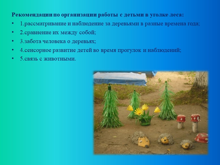 Презентация по экологическому воспитанию "Экологическая тропа"