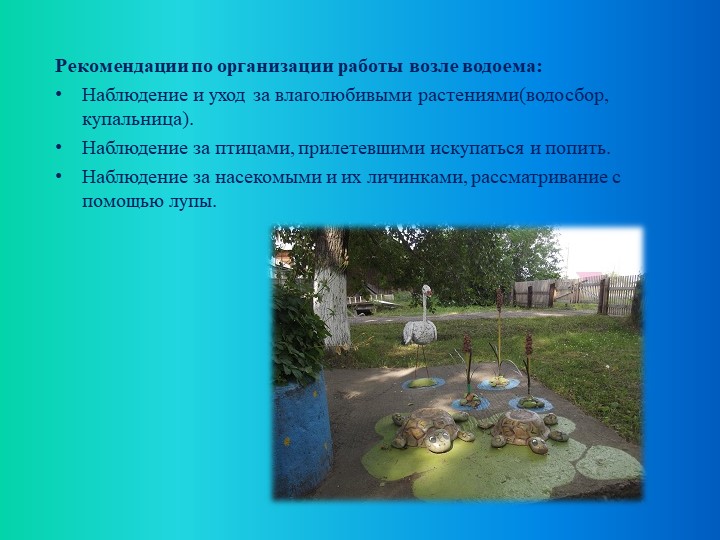 Презентация по экологическому воспитанию "Экологическая тропа"