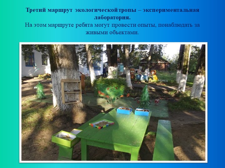 Презентация по экологическому воспитанию "Экологическая тропа"