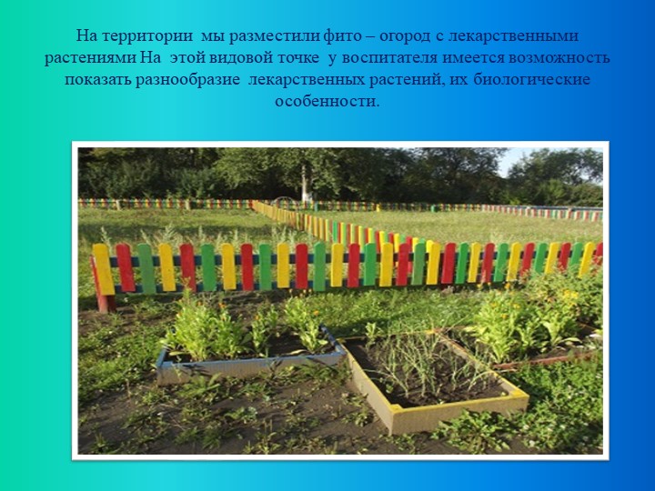 Презентация по экологическому воспитанию "Экологическая тропа"