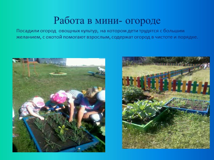 Презентация по экологическому воспитанию "Экологическая тропа"