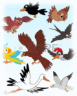 Picture 20