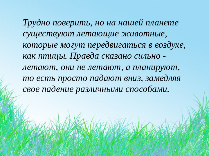 Презентация для дошкольников "летающие животные"