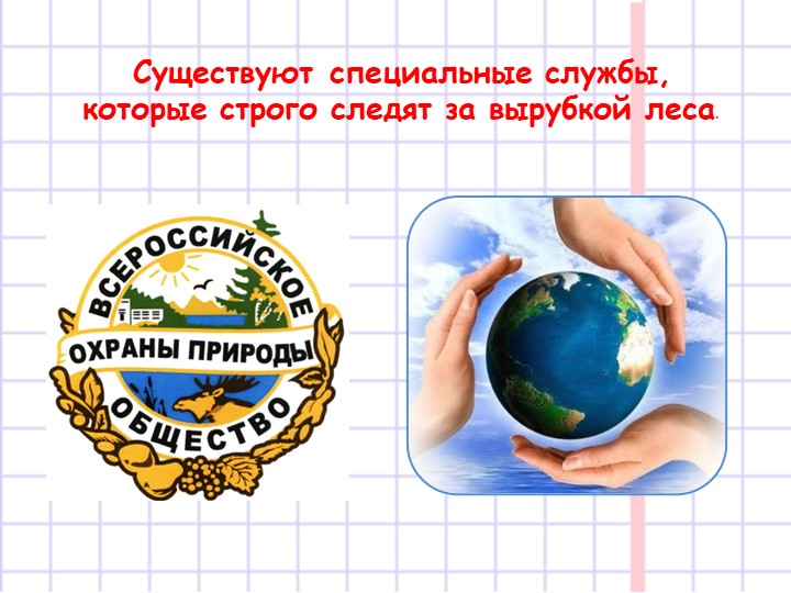 Презентация на тему "Появление книги"