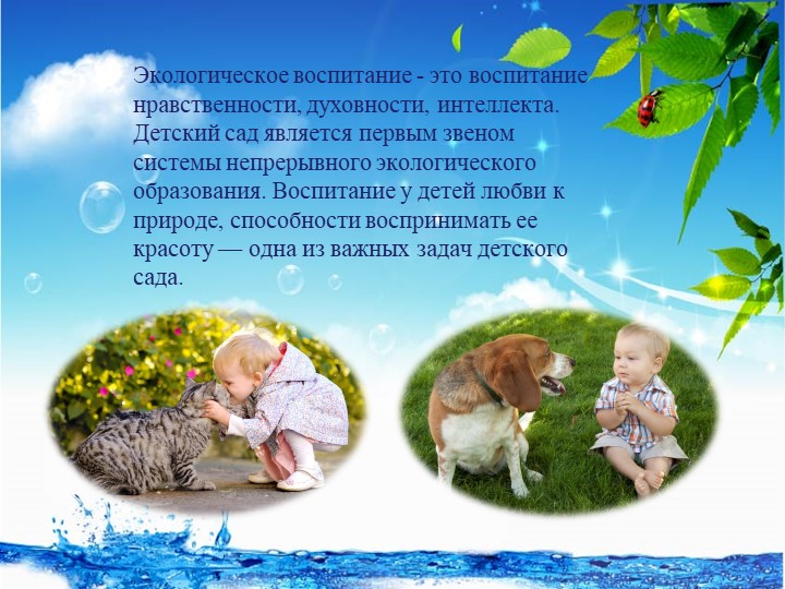 Презентация "Экологическое воспитание дошкольников в детском саду и семье"