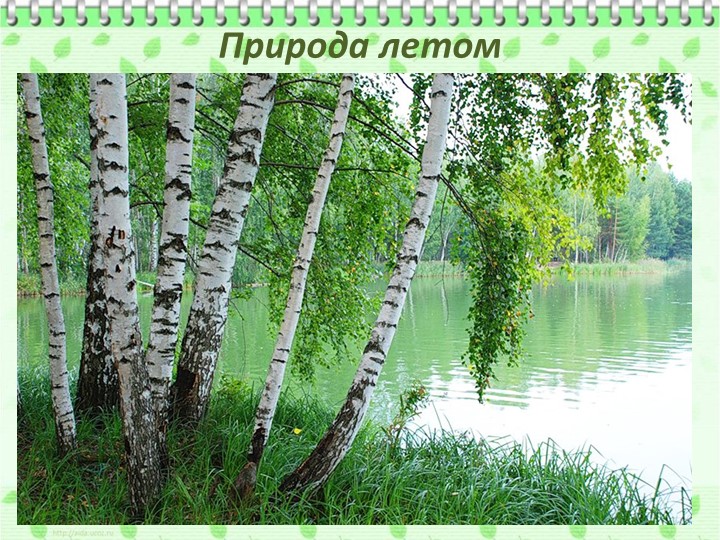 Презентация по ознакомлению с родным краем"Природа Урала"