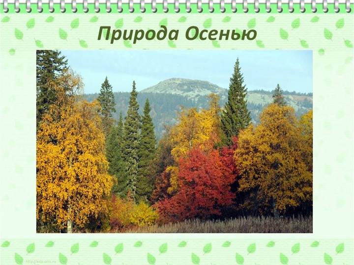 Презентация по ознакомлению с родным краем"Природа Урала"