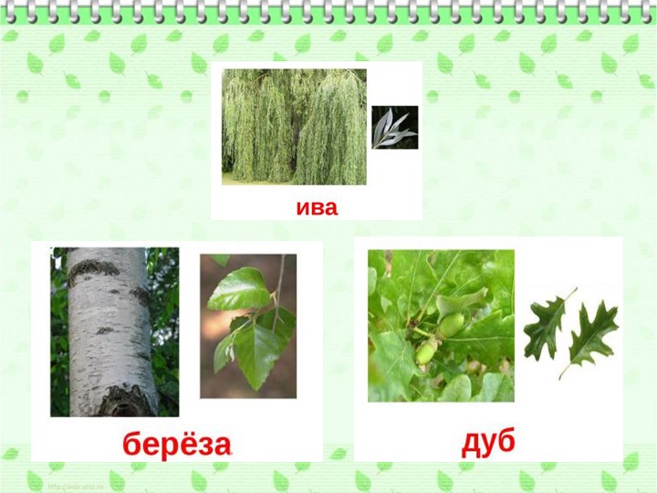 Презентация по ознакомлению с родным краем"Природа Урала"