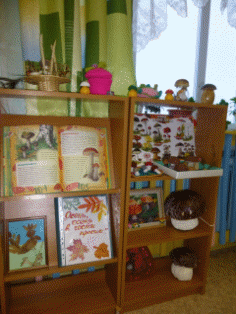 Picture 5