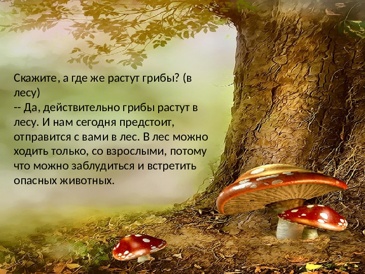 Презентация по лексической теме " В лес за грибами" средняя группа