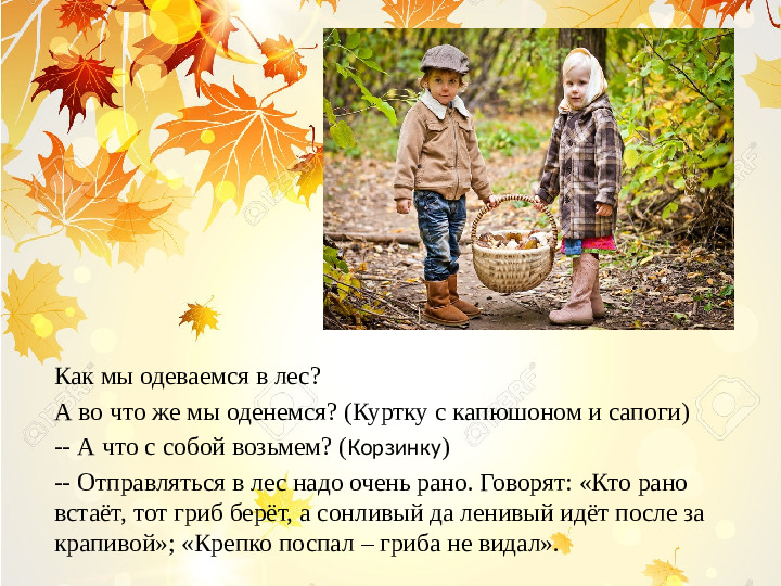 Презентация по лексической теме " В лес за грибами" средняя группа