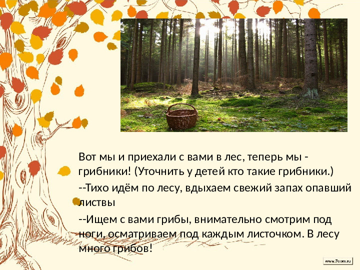 Презентация по лексической теме " В лес за грибами" средняя группа